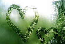 厄瓜多尔力克丹麦，晋级机会不容忽视