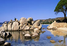 厄瓜多尔力克丹麦，晋级机会不容忽视